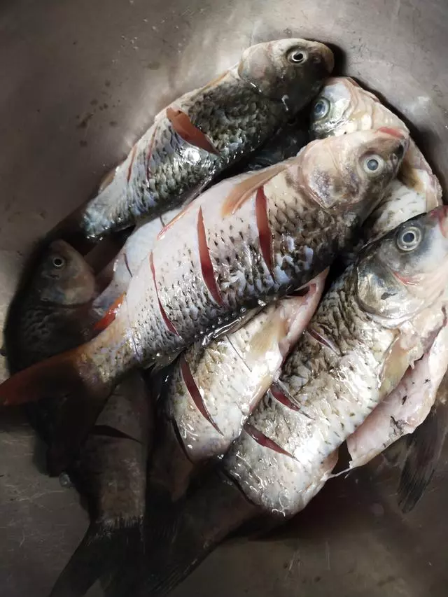 鮮嫩可口的19種鯽魚做法,幾步就搞定,又香又下飯,看著就流口水