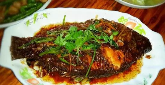鮮嫩可口的19種鯽魚做法,幾步就搞定,又香又下飯,看著就流口水