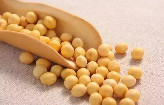 豆漿不能空腹喝?不能加紅糖?喝豆漿前,先弄清楚這7件事