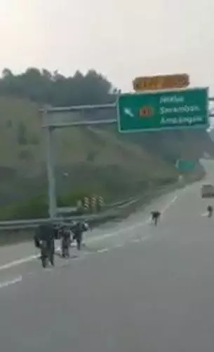 不應忽略他們·可培訓他們成專業選手 賽沙迪:蚊型轎腳車終有出頭天 !
