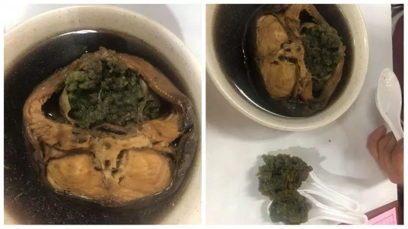 影/藥燉土蝨驚見「超量綠卵」她嫌噁 老饕:這是極品