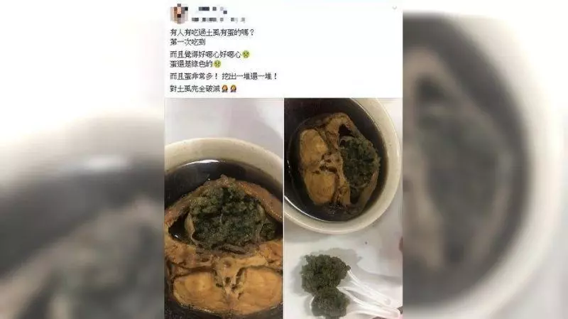 影/藥燉土蝨驚見「超量綠卵」她嫌噁 老饕:這是極品