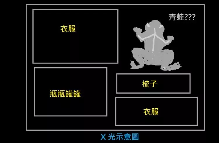 她被美國海關攔下來問「行李箱裡怎麼有青蛙」抖著打開行李箱卻笑歪:這後勁太強了!