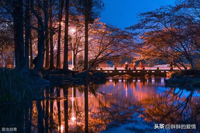 走過的是四季,體會的是風雨;經歷的是人生,收穫的是淡定