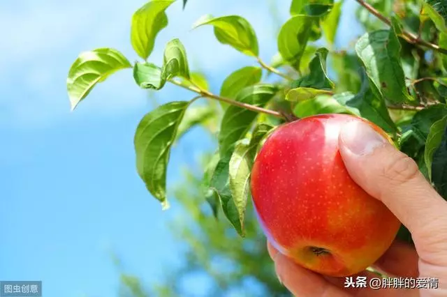 走過的是四季,體會的是風雨;經歷的是人生,收穫的是淡定