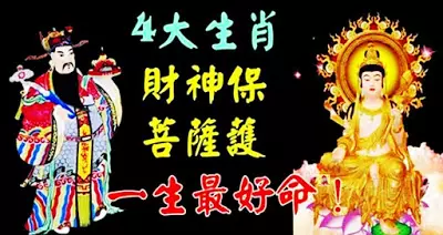 一生最好命!財神保、菩薩護的4生肖