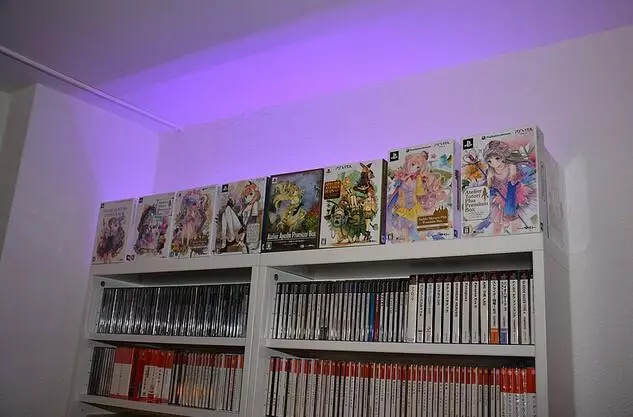 瑞士宅男秀自己的房間,網友:這一排收藏得花多少錢啊