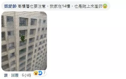 跟爸媽一起去夜店,媽媽穿的太正了~網友極力推薦自己要當他們的保鏢