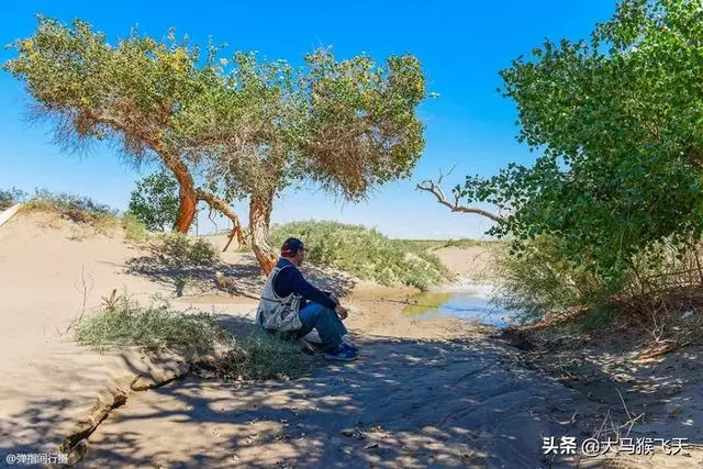 「嫁給你5年,一直養你,你不能找個穩定的工作嗎」「你自願的」