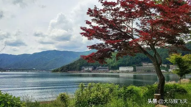 老公,把你媽送回老家吧,她進我們房間從不敲門」「好」