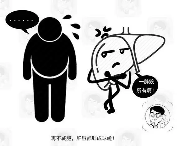 人不胖,肚子卻很大?殊不知,背後可能隱藏這些健康問題