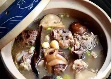 9種好喝的燉雞湯,給孩子補營養!增強體質強健身體
