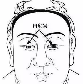 面相算命圖解大全:這幾個痣叫「富貴痣」, 只要長一個就發大財一生富貴!