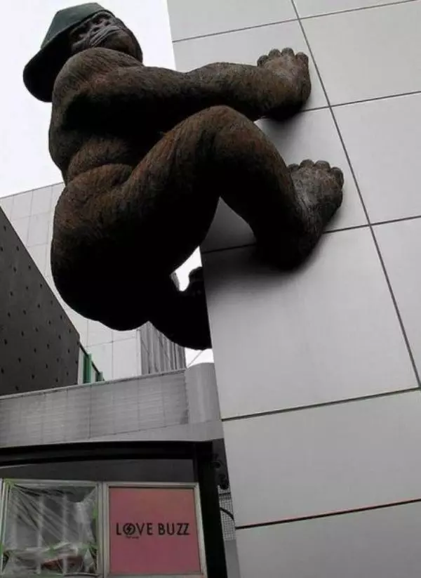 36張只有日本人才能超越日本人的「到底是為什麼?!」照片!