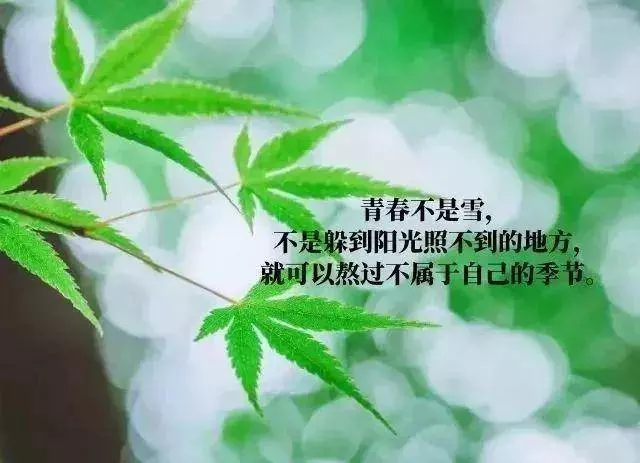今天盡力做得,雖然辛苦,但未來發生的,都是禮物!