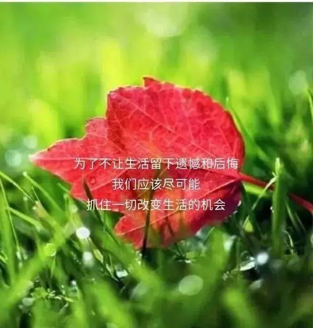 今天盡力做得,雖然辛苦,但未來發生的,都是禮物!