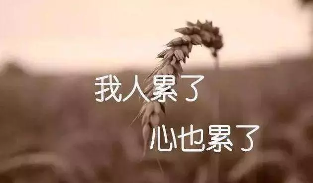 有些記憶,註定無法抹去;就象有些人,註定無法替代一樣 !