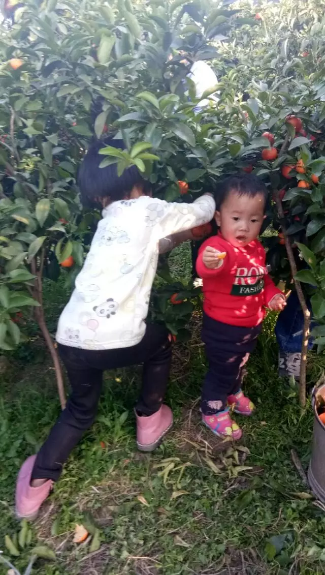二胎出生還是女兒讓我傷心一下午,現在意外三胎還能留嗎?