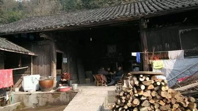 父親半夜蒸饅頭,清晨饅頭全丟了,遠嫁女兒跟蹤父親後發現秘密