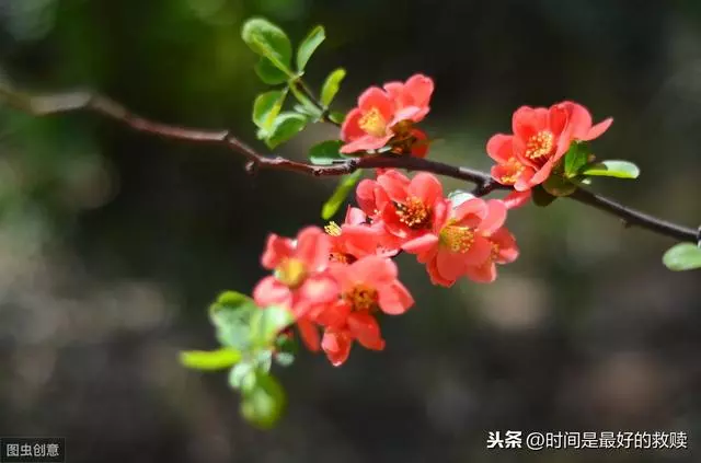 做人,多一點自知之明,少一點自作多情!