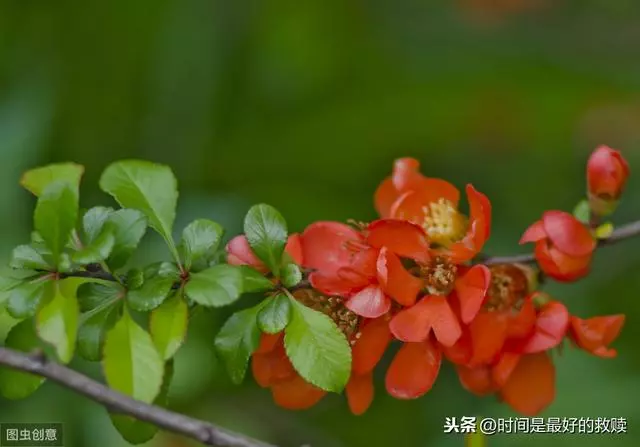 做人,多一點自知之明,少一點自作多情!