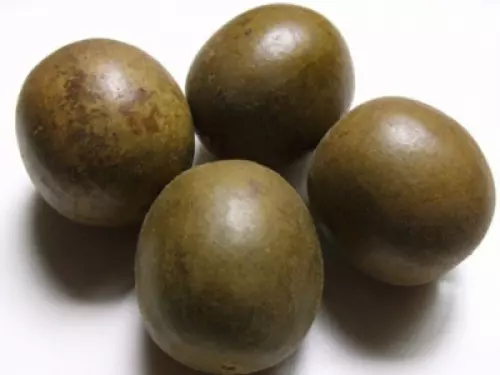 羅漢果泡水喝的禁忌,有一件事一定要注意!很多人不知道!