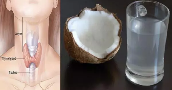 甲狀腺的人要注意,這水果是改善甲狀腺功能的神奇水,7大功效由內而外改善健康,還零副作用!