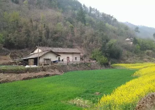 生孩子後,因姓氏起爭執,婆婆知道後說了老公一通,讓俺感動