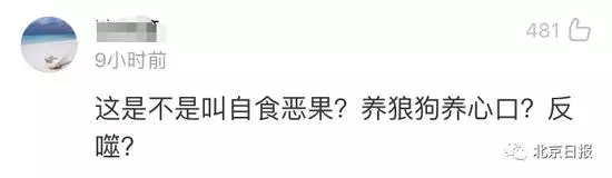 他支持了暴徒幾個月,暴徒卻一把火燒了他的鋪!