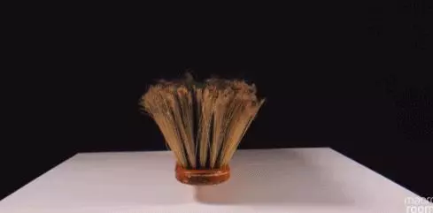27歲小哥用三年拍攝0.0001秒,1000萬網友跪著看完:感覺自己白活了二十多年