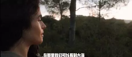 她是皮特的緋聞女友、麻省理工的「瘋子教授」:我只想改變世界