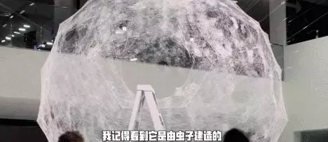 她是皮特的緋聞女友、麻省理工的「瘋子教授」:我只想改變世界
