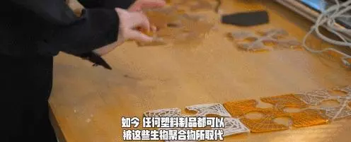 她是皮特的緋聞女友、麻省理工的「瘋子教授」:我只想改變世界