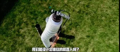 她是皮特的緋聞女友、麻省理工的「瘋子教授」:我只想改變世界