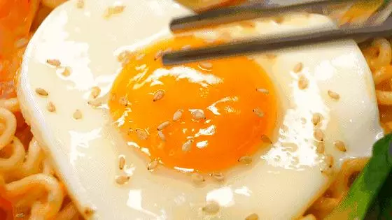 所有你不知道的「蛋」的秘密,全在這裡「值得收藏」