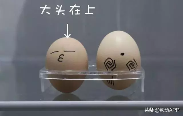所有你不知道的「蛋」的秘密,全在這裡「值得收藏」