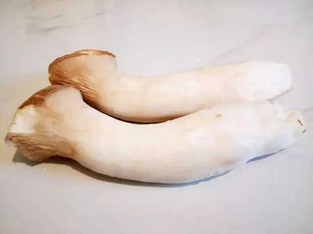 秋天的菌菇最養人!這幾種菇一定要吃~附美味素食譜