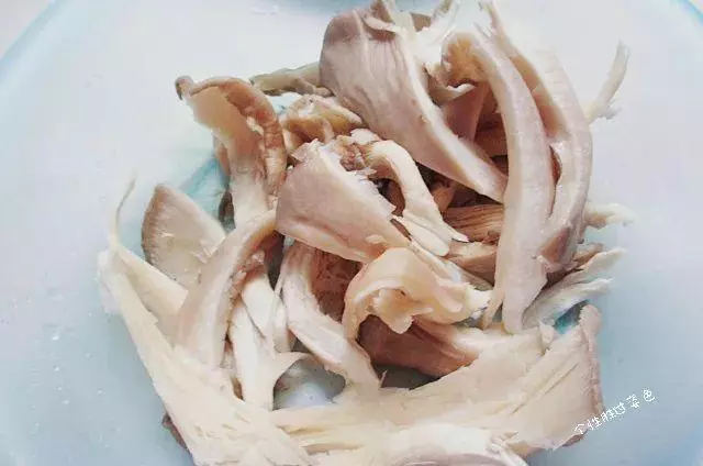 秋天的菌菇最養人!這幾種菇一定要吃~附美味素食譜