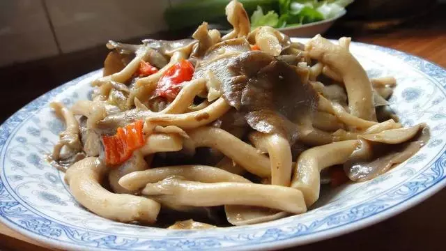 秋天的菌菇最養人!這幾種菇一定要吃~附美味素食譜
