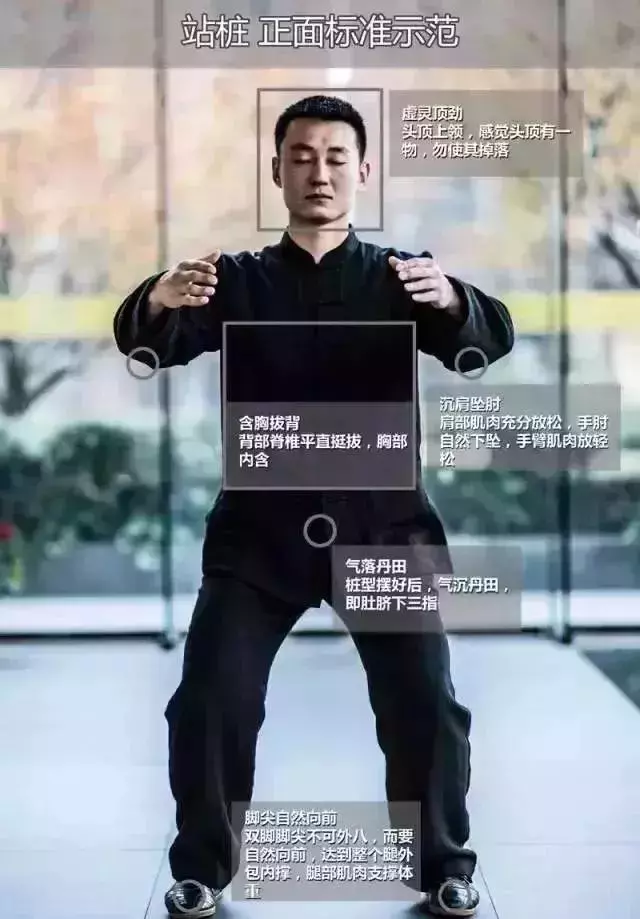 百鍊不如一「站」;每天10分鐘,調五臟、護關節