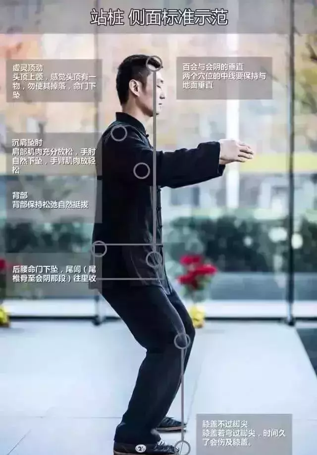 百鍊不如一「站」;每天10分鐘,調五臟、護關節