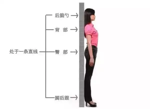 百鍊不如一「站」;每天10分鐘,調五臟、護關節