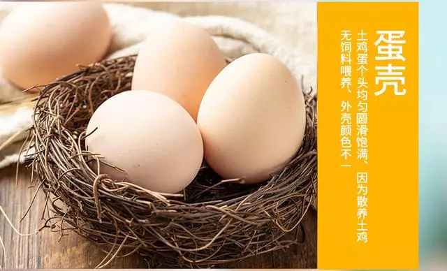 雞蛋怎麼做好吃?關於雞蛋你了解多少?附33道雞蛋的營養做法