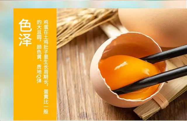 雞蛋怎麼做好吃?關於雞蛋你了解多少?附33道雞蛋的營養做法