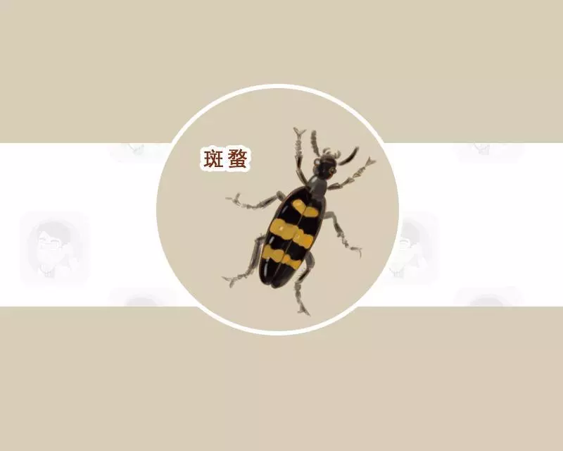 純天然?7種中藥別亂吃,否則傷肝又傷腎 !