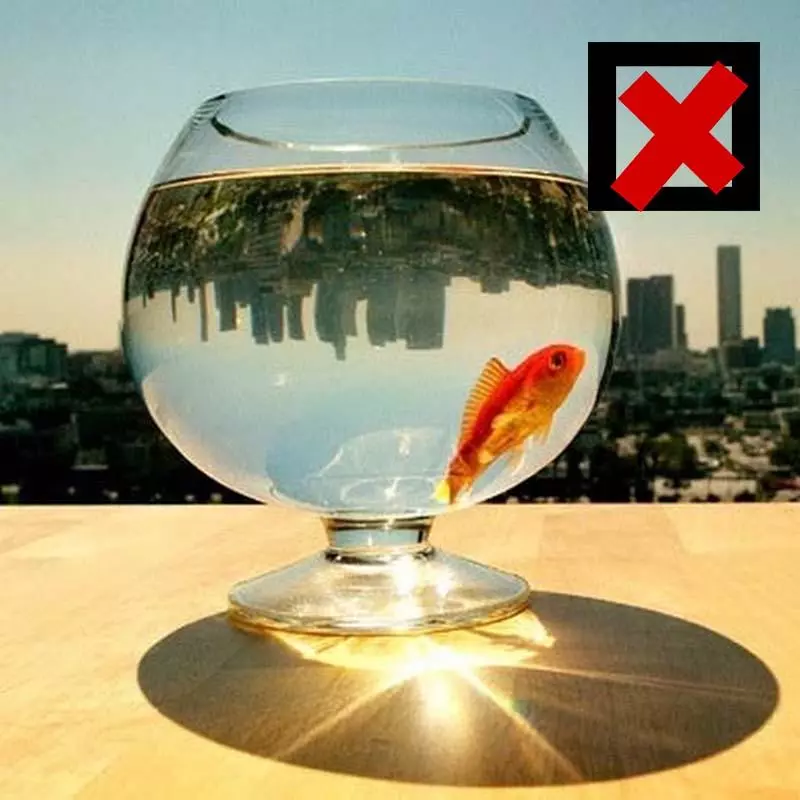 華人最忌諱的13種禮物!不想得罪人就千萬不要送錯!