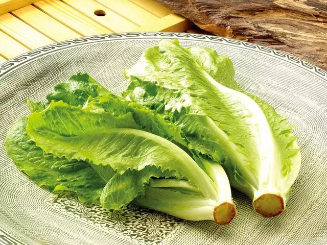 年過中旬,肥胖、衰老找上門,這4種食物,中年人可以多吃