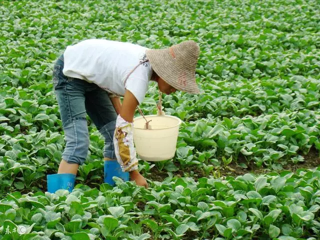 婆家獲賠二十萬,婆婆分我3000,兩年後我笑了,感謝她當時的決定