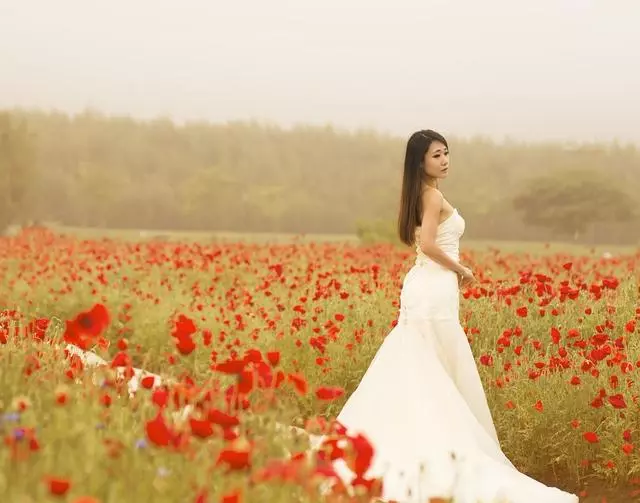 「兒媳婦,雖然我沒有生養你,但我也不欠你的!」