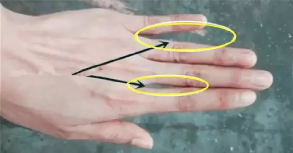 當你五指併攏時,有幾個洞?